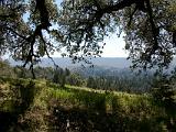 Russian Ridge 16